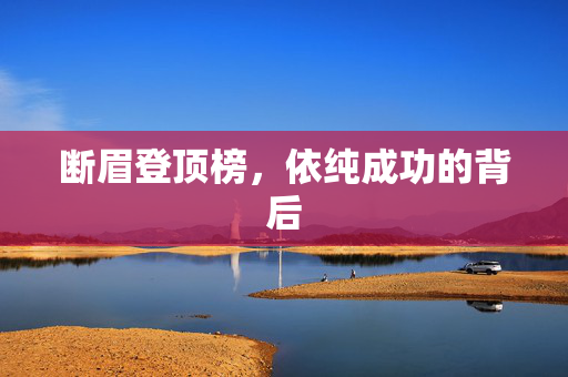断眉登顶榜，依纯成功的背后