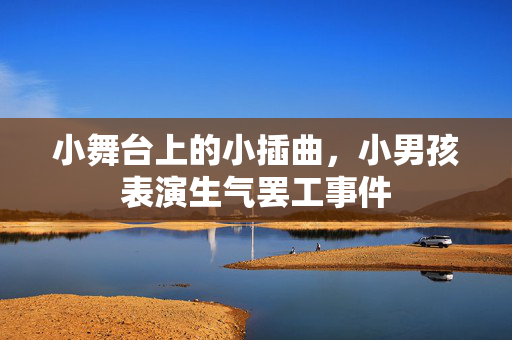 小舞台上的小插曲，小男孩表演生气罢工事件
