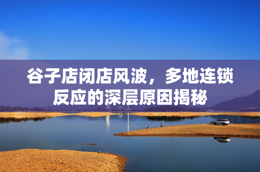 谷子店闭店风波，多地连锁反应的深层原因揭秘