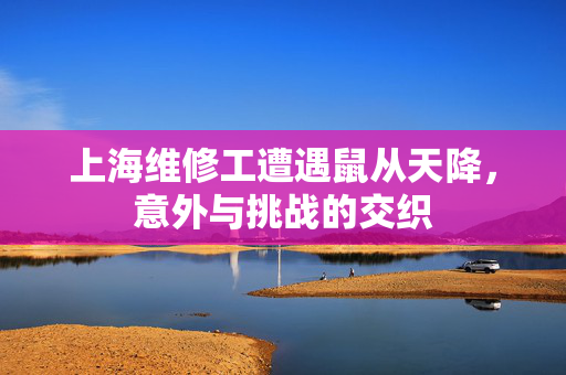 上海维修工遭遇鼠从天降，意外与挑战的交织