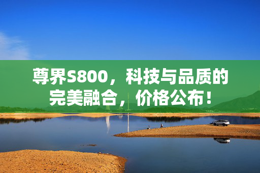 尊界S800，科技与品质的完美融合，价格公布！