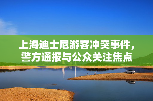 上海迪士尼游客冲突事件，警方通报与公众关注焦点