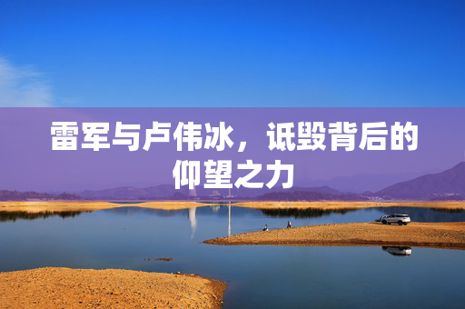 雷军与卢伟冰，诋毁背后的仰望之力