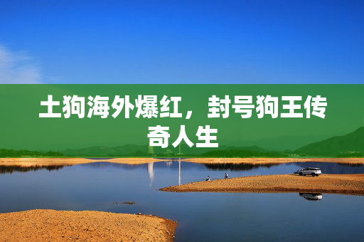 土狗海外爆红，封号狗王传奇人生