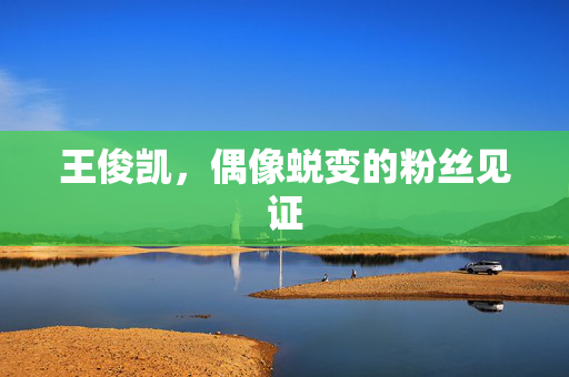 王俊凯，偶像蜕变的粉丝见证
