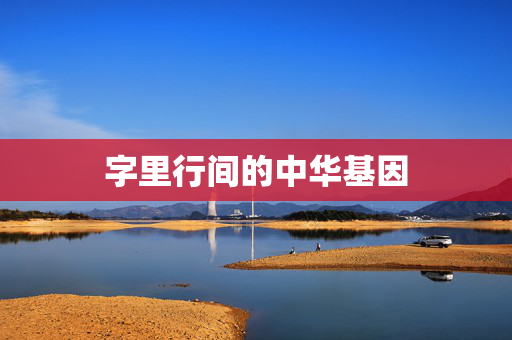 字里行间的中华基因