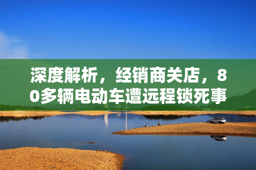 深度解析，经销商关店，80多辆电动车遭远程锁死事件
