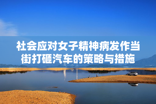 社会应对女子精神病发作当街打砸汽车的策略与措施