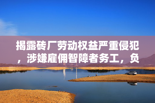 揭露砖厂劳动权益严重侵犯，涉嫌雇佣智障者务工，负责人被紧急控制