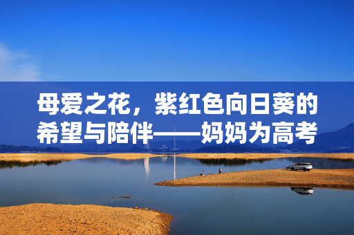 母爱之花，紫红色向日葵的希望与陪伴——妈妈为高考儿子种下的力量