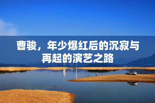 曹骏，年少爆红后的沉寂与再起的演艺之路