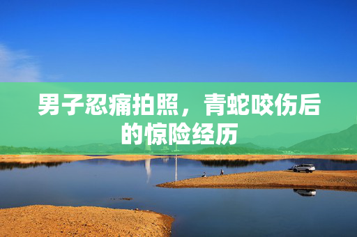 男子忍痛拍照，青蛇咬伤后的惊险经历