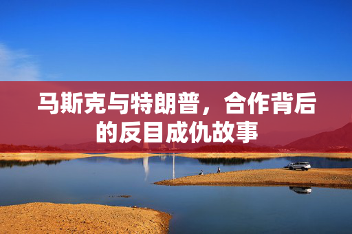 马斯克与特朗普，合作背后的反目成仇故事