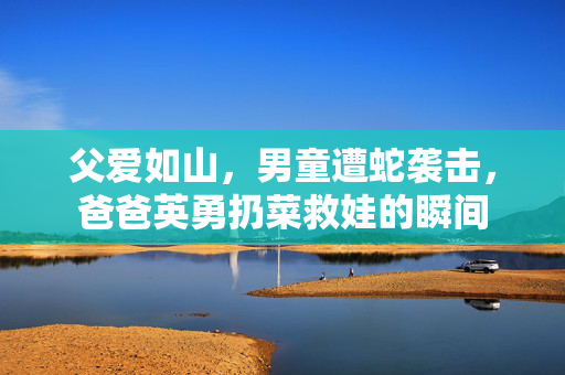 父爱如山，男童遭蛇袭击，爸爸英勇扔菜救娃的瞬间