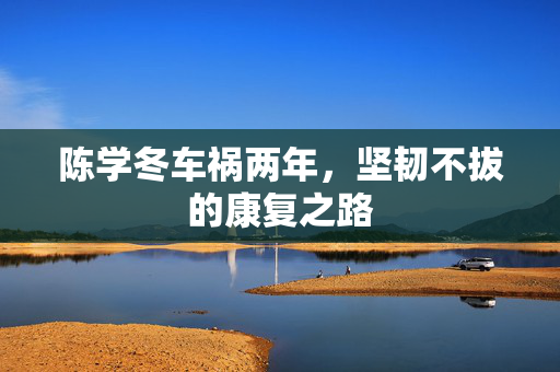 陈学冬车祸两年，坚韧不拔的康复之路