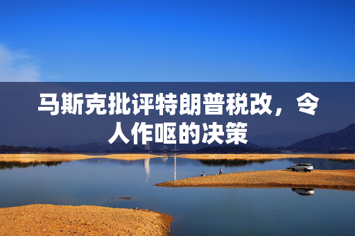 马斯克批评特朗普税改，令人作呕的决策