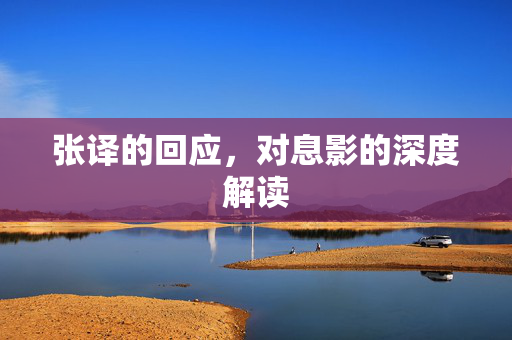 张译的回应，对息影的深度解读