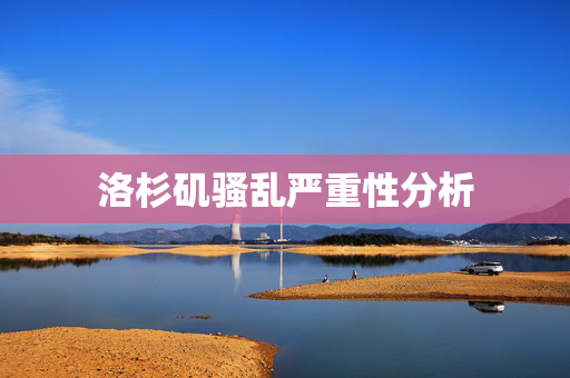 洛杉矶骚乱严重性分析