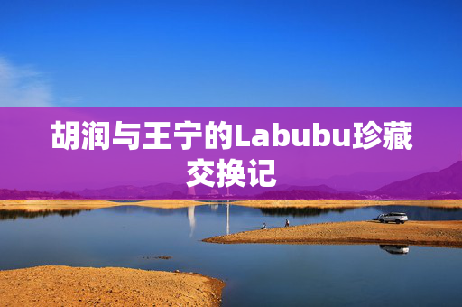胡润与王宁的Labubu珍藏交换记