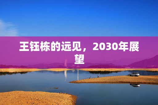 王钰栋的远见，2030年展望