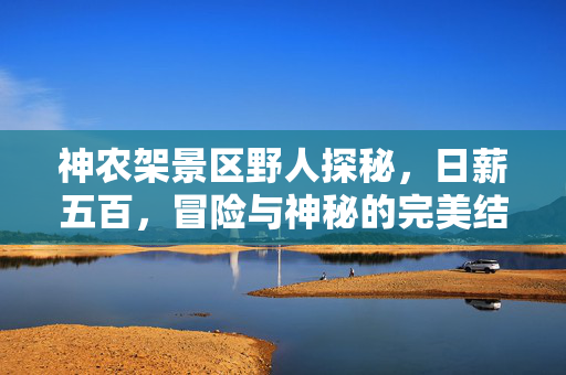 神农架景区野人探秘，日薪五百，冒险与神秘的完美结合