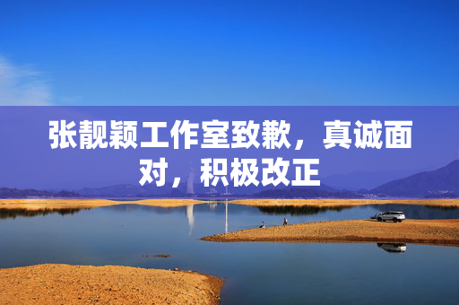 张靓颖工作室致歉，真诚面对，积极改正