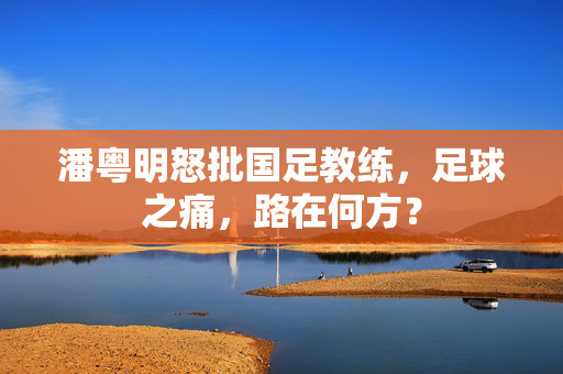 潘粤明怒批国足教练，足球之痛，路在何方？