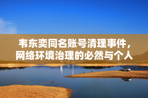 韦东奕同名账号清理事件，网络环境治理的必然与个人身份辨识的挑战