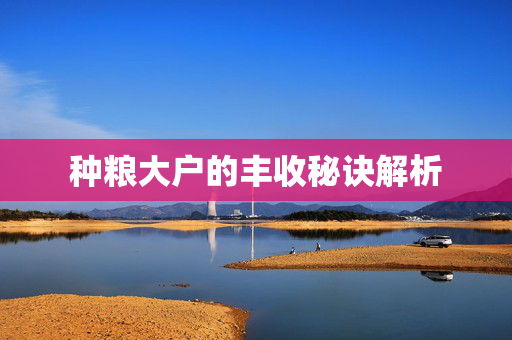 种粮大户的丰收秘诀解析