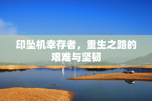 印坠机幸存者，重生之路的艰难与坚韧