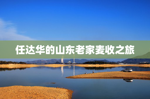 任达华的山东老家麦收之旅