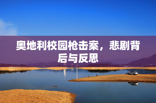 奥地利校园枪击案，悲剧背后与反思