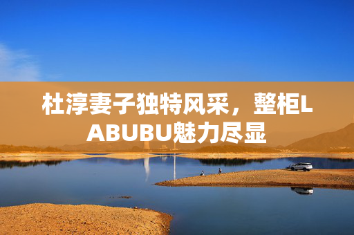 杜淳妻子独特风采，整柜LABUBU魅力尽显