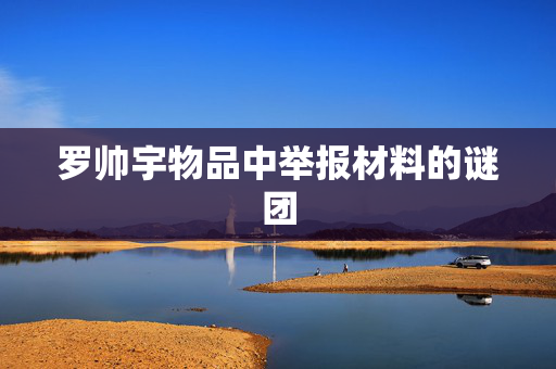 罗帅宇物品中举报材料的谜团