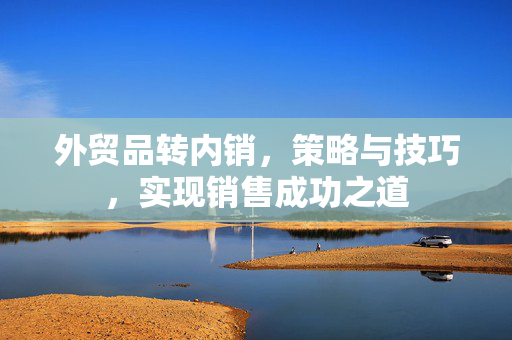 外贸品转内销，策略与技巧，实现销售成功之道