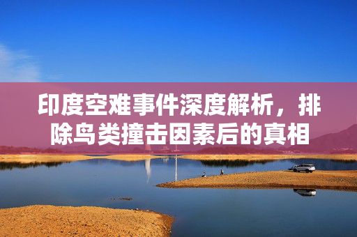 印度空难事件深度解析，排除鸟类撞击因素后的真相