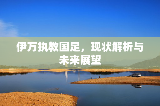 伊万执教国足，现状解析与未来展望