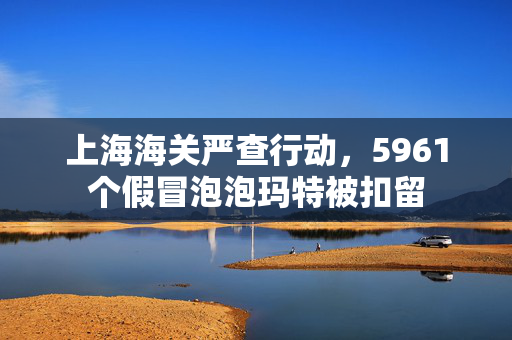 上海海关严查行动，5961个假冒泡泡玛特被扣留