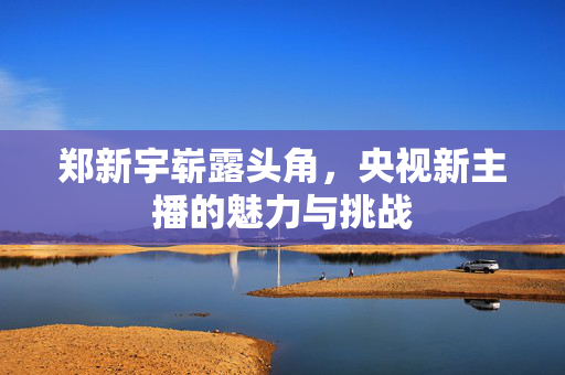 郑新宇崭露头角，央视新主播的魅力与挑战