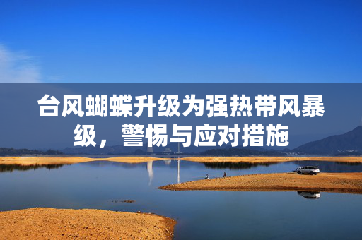 台风蝴蝶升级为强热带风暴级，警惕与应对措施