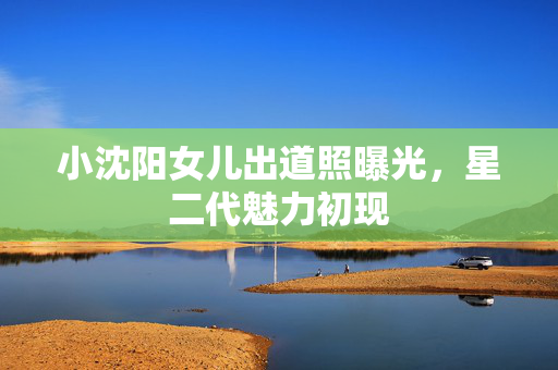 小沈阳女儿出道照曝光，星二代魅力初现