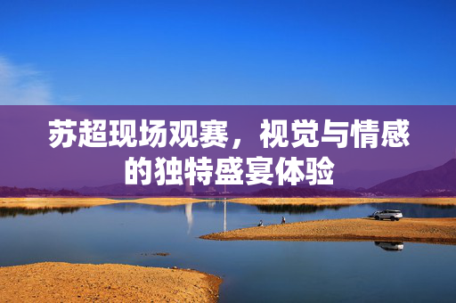 苏超现场观赛，视觉与情感的独特盛宴体验