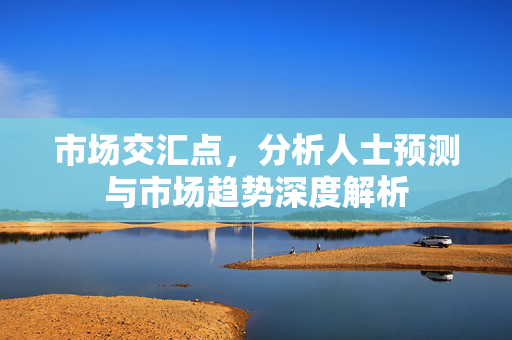 市场交汇点，分析人士预测与市场趋势深度解析