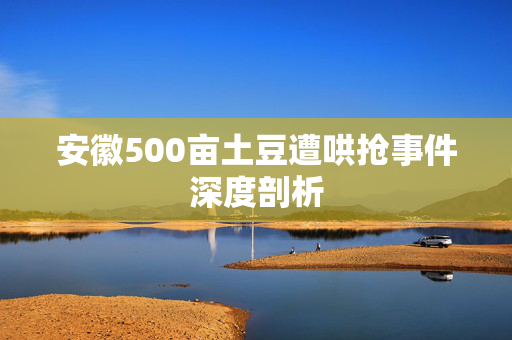 安徽500亩土豆遭哄抢事件深度剖析