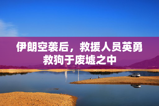 伊朗空袭后，救援人员英勇救狗于废墟之中