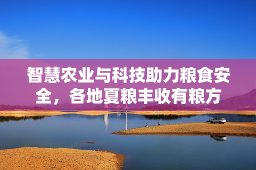 智慧农业与科技助力粮食安全，各地夏粮丰收有粮方