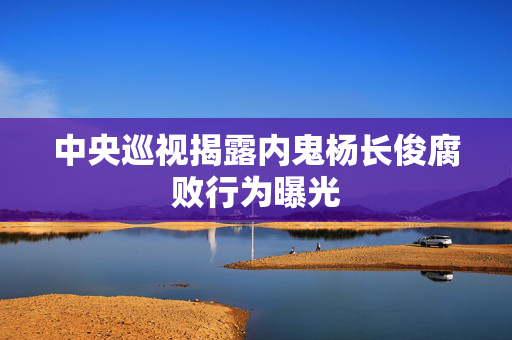 中央巡视揭露内鬼杨长俊腐败行为曝光