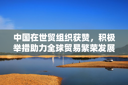 中国在世贸组织获赞，积极举措助力全球贸易繁荣发展