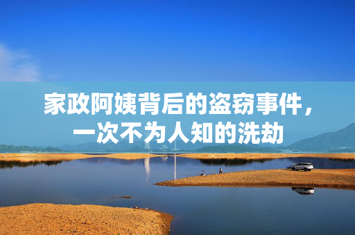 家政阿姨背后的盗窃事件，一次不为人知的洗劫