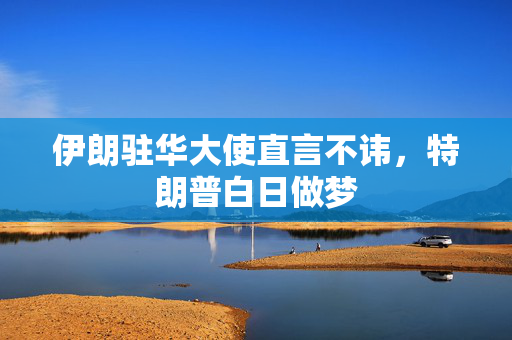 伊朗驻华大使直言不讳，特朗普白日做梦